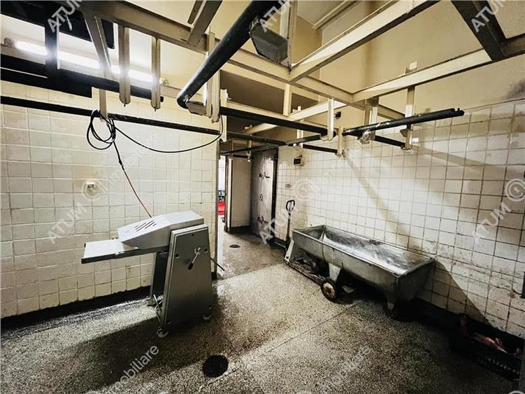 Spatiu comercial de 380 mp utili si teren 683 mp zona Terezian Sibiu - 4