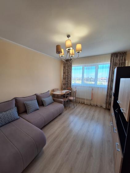 Garsoniera viaduct - 1