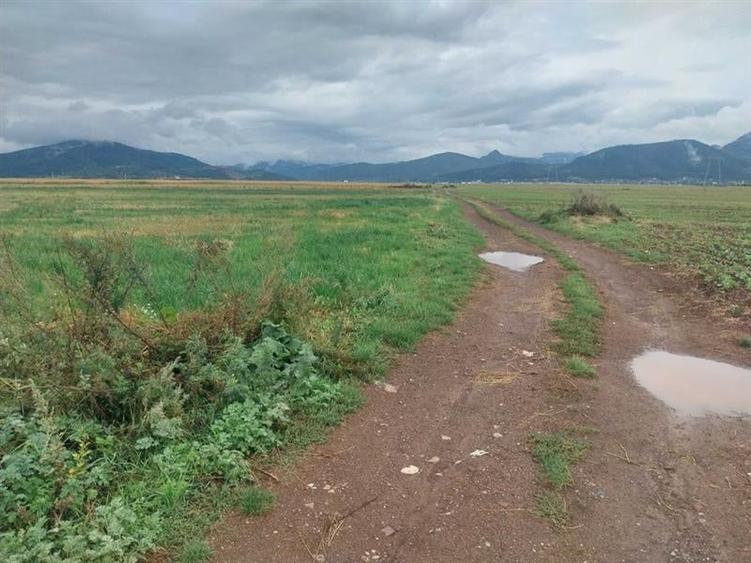 33.100mp, Tarlungeni, Brasov - 7