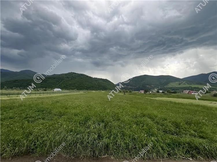 Teren intravilan de 3477 mp cu deschidere de 35 m in Boita - 1