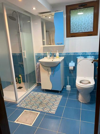 Casa de vanzare in Comuna Leleasca, satul Afumati, Judetul Olt - 6