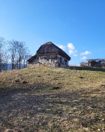 Teren intravilan 3 loturi de 6000, 2800 si 12000mp - 1