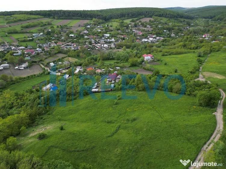 Teren de vanzare, Com. Racova, Str. Bradului, Bacau - 3