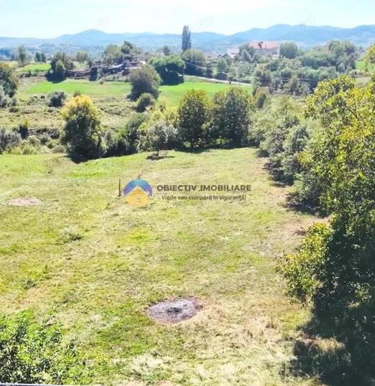 TEREN intravilan 2510 mp BORLE?TI - ?OVOAIA - 5