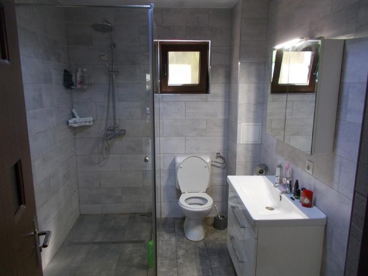 Casa P+M+pod, Parta, 4 camere, 180mp util, 1190mp teren - 5