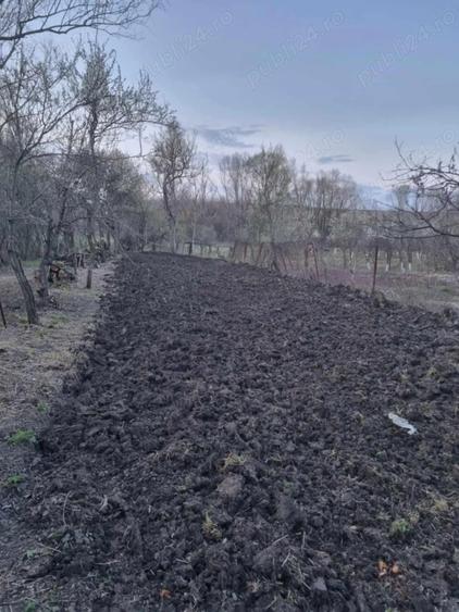 Casa de vanzare in Sat Macoviste com Cuchici - 2