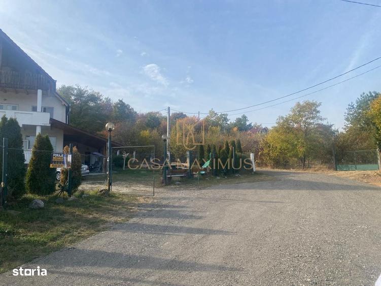 Spațiu comercial, în Șura Mare