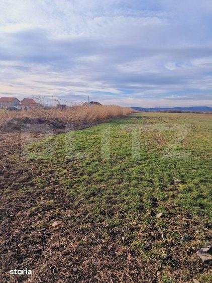 Teren de 8700 mp, în Prejmer