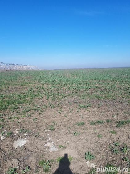Teren de 22756 mp, în Vânători