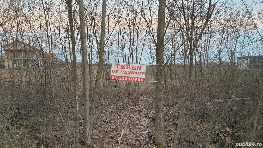 Teren de 22700 mp, în Lazuri