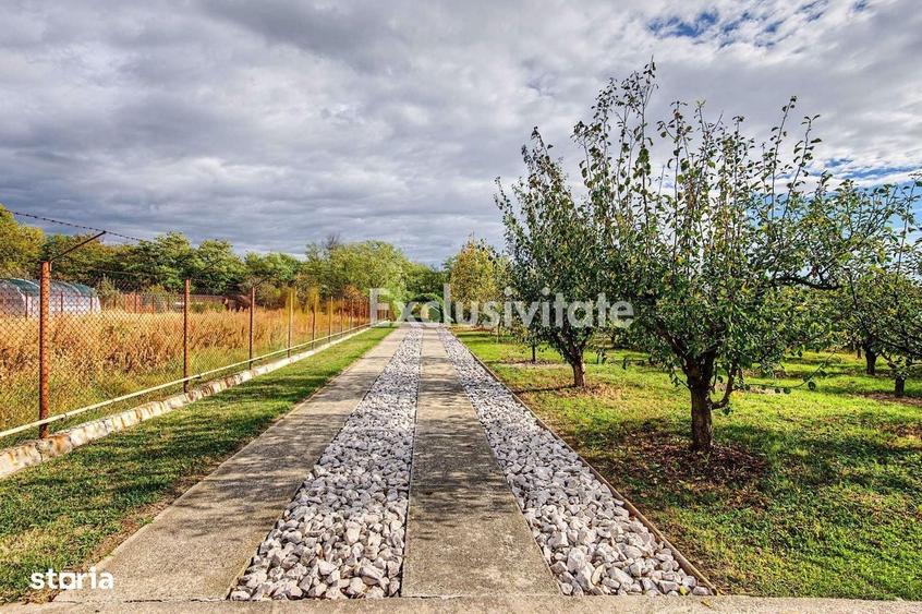 Casă cu 2 camere în Central
