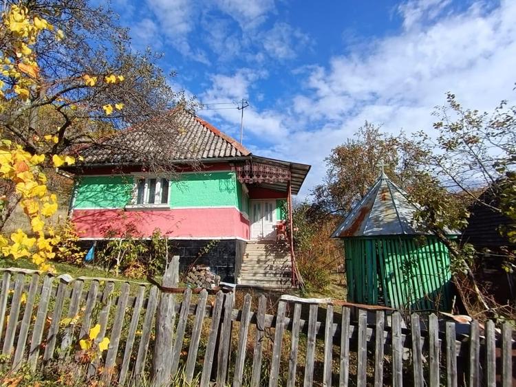 Casă individuală cu 2 camere cu Teren 4000 Mp în Cavnic