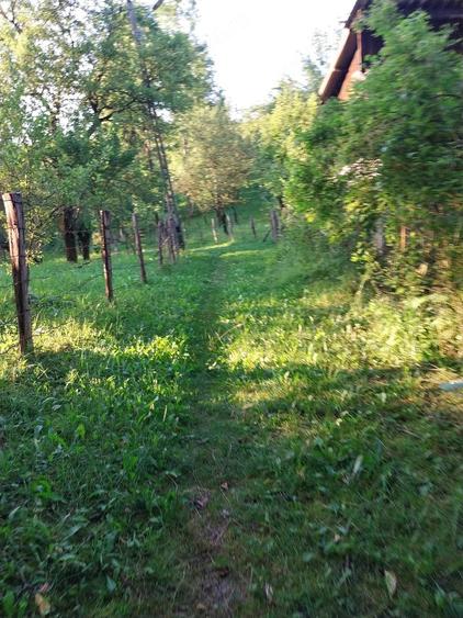 Teren de 2108 mp, în Central