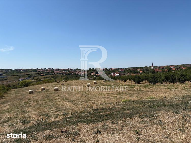 Teren de 6355 mp, în Paleu