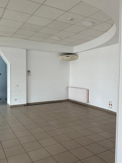 Theodor Pallady stradal birou 410 mp utili LIBER - 3