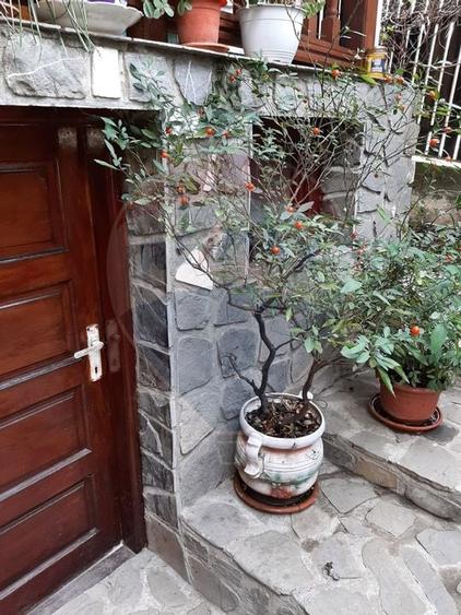 Vanzare casa Provita de Jos Prahova - 3