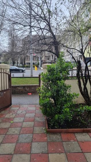 Dimitrie Cantemir, Tineretului - 5