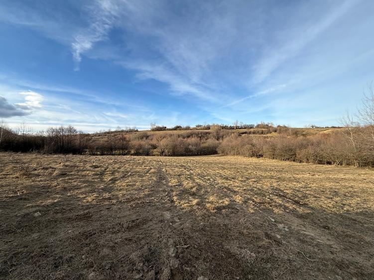 Teren intravilan 500 mp sau 1000 mp în Zarnesti –Tohanita cu parau(izvor) - 10