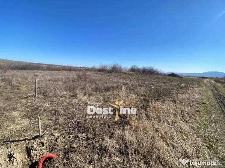 Loturi de Teren Fermelor Strada Plantelor - 4