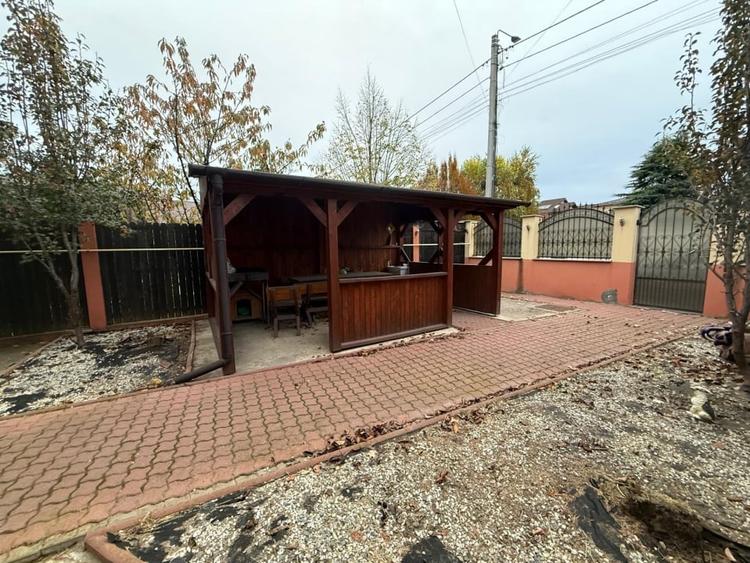 Casa S+P+1, 329 MP teren, 118,6 MP utili, Carcea, zona Selgros - 11