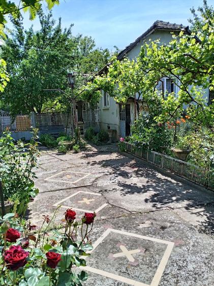 Vand Casa cu anexe si 2400 m/p Boureni, Dolj - 1