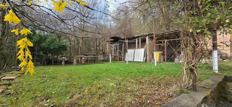 Casa de vanzare zona Viilor, Sighisoara - 18