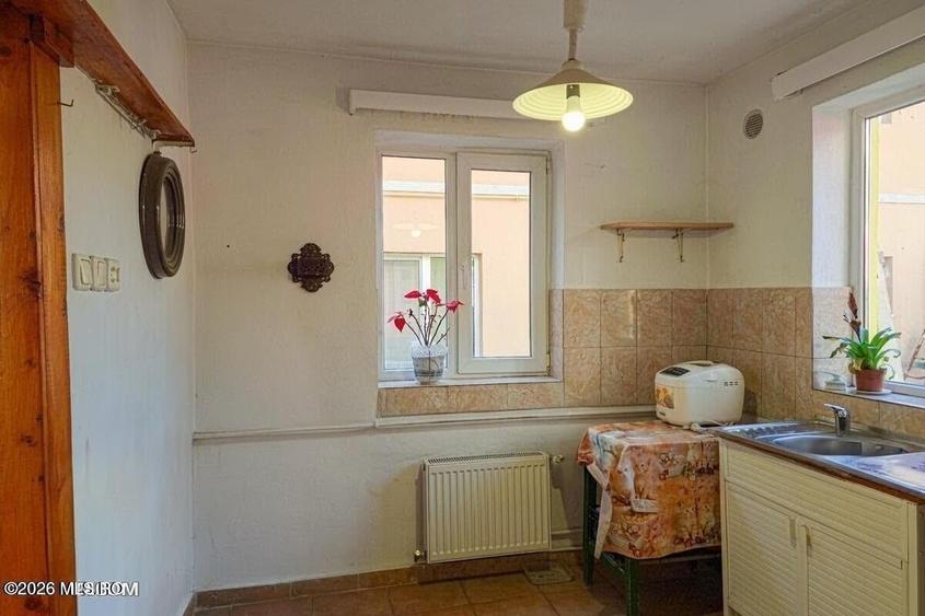 Lunei - Ion Neculce, 2 Apartamente. Mansarda 157 mp. Anexe, Lot 475 mp - 19