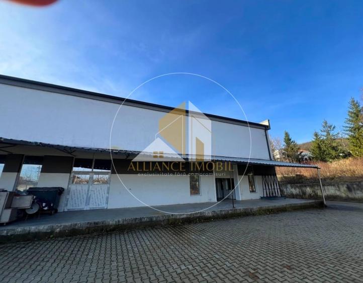 Spațiu industrial cu utilizare mixtă(producție ,depozit, birouri) – de închiriat - 1