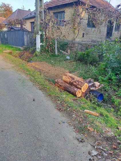 Vand casa in localitatea Iaz - 2