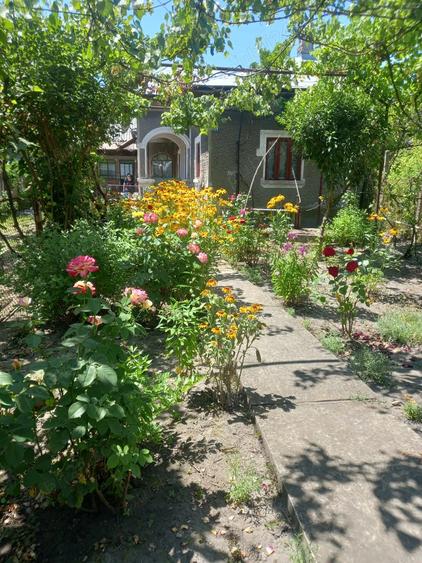 vand casa si teren,acte la zi,apa,lumina,gaze,put - 2