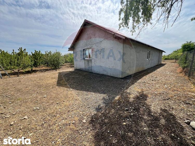 Casa cu 3094mp livada Cotesti - 8