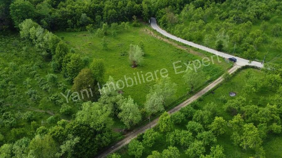 Teren de vanzare in comuna Corbi, jude? Arge?. - 13