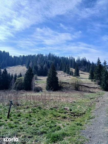 Vanzare teren cu casa. - 2