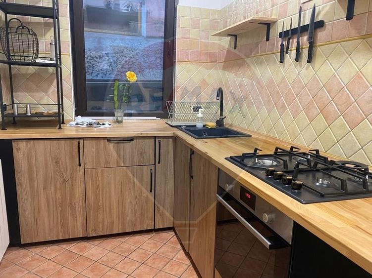 Vila de închiriat–Calea Moșilor /133 mp utili+60 Curte proprie - 18