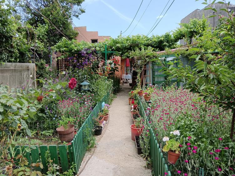 Casa cu 3 camere si 200 mp teren - Coiciu - 1