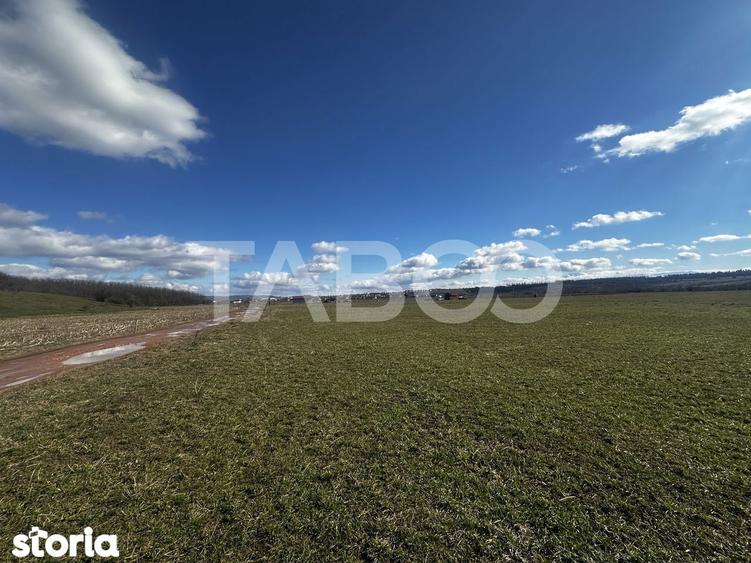 Teren de vanzare 2200 mp cu deschidere de 28 ml - 1