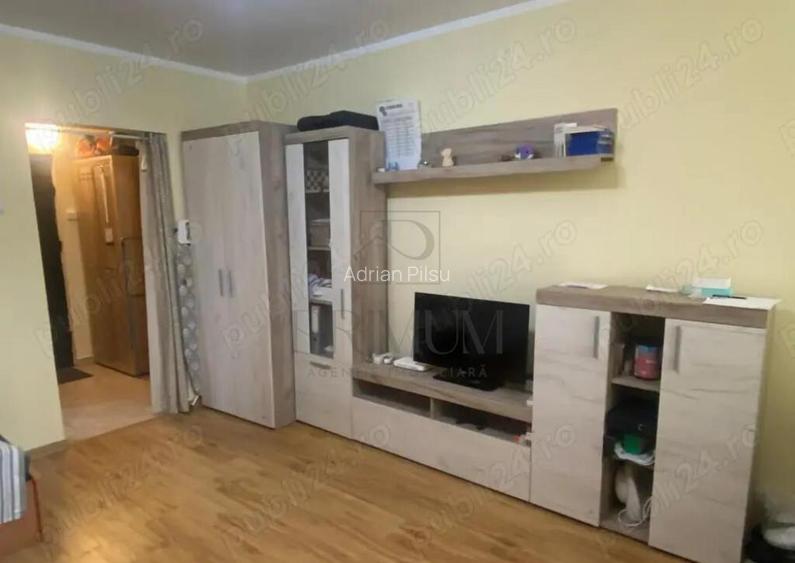 Apartament 1 camera Take Ionescu