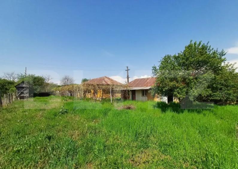 Teren de vanzare, 7300 mp, zona Danesti - 3