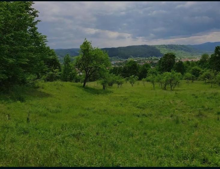 TEREN DE VANZARE PENTRU INVESTITII IN MANASTIREA CASIN - 5