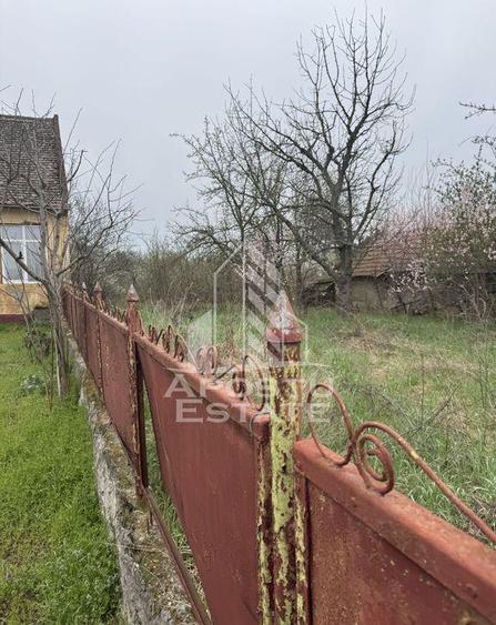 Casa unifamiliala in Remetea Mare cu teren de 3383 mp. - 11