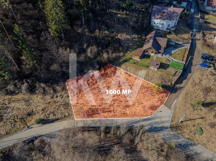 Teren pentru construcții în Săcele, cu potențial imens - 1