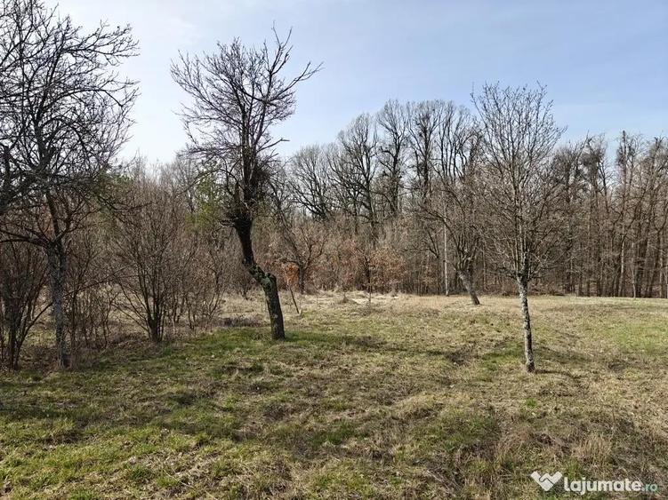 Teren Intravilan 1.472 mp Cotmeana - Linte?ti, Utilita?i la gard, langa Padure - 1