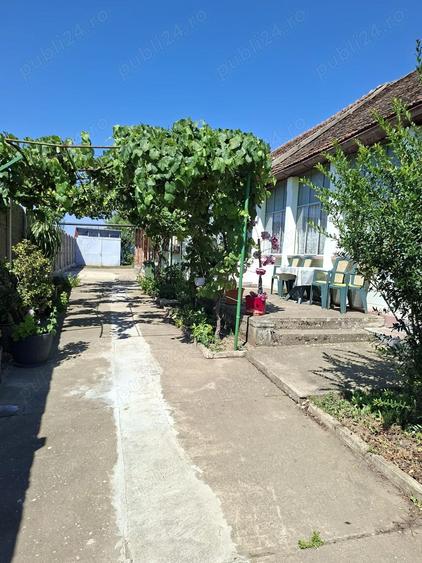 Casa de vanzare in Giarmata - 5