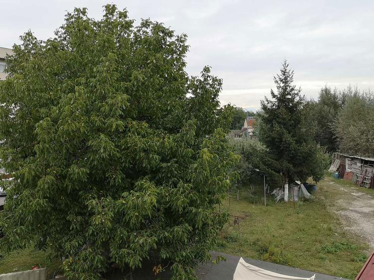 casa 370mp ,teren 1541mp - 1