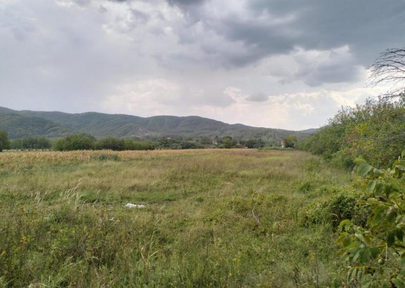 Oportunitate de investitie, teren intravilan, 6018 mp, Ungur - 4