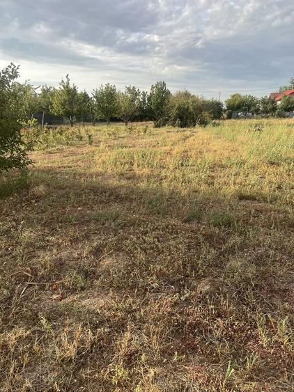 Vand teren intravilan - 3