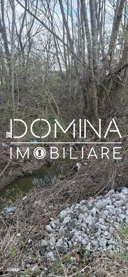 Teren intravilan 20.386 mp in Calnictraversat de rau, 19 km de Tg J - 3