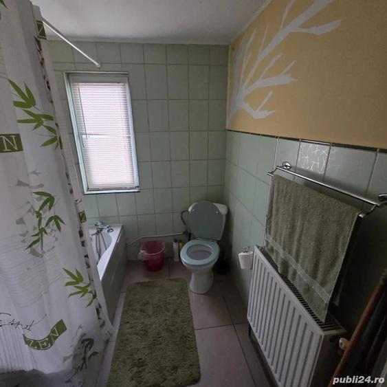 Novaci - Giurgiu - Casa P + 1 + M - 13