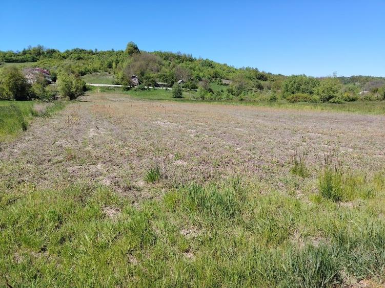 Vind  7000mp.Teren intravilan /extravilan - 10