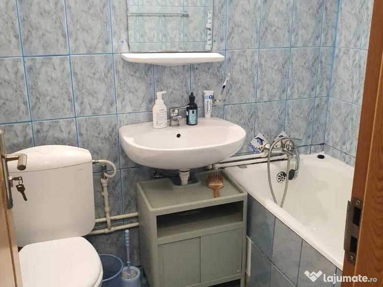 P.F Apartament 1 camera Podul de Fier - 3